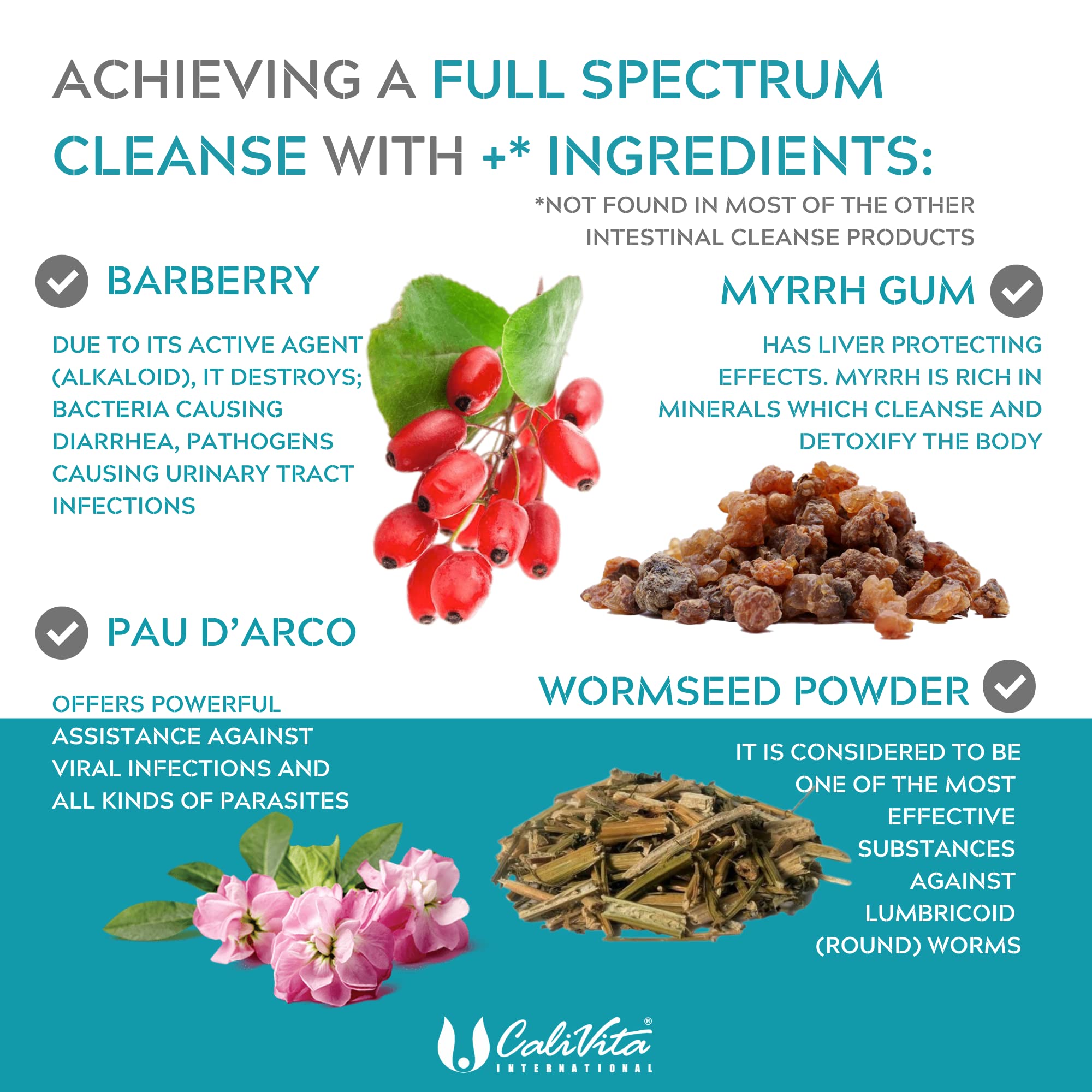 ParaProtex Colon Cleanse Tablets Natural Dewormer for Humans Gut