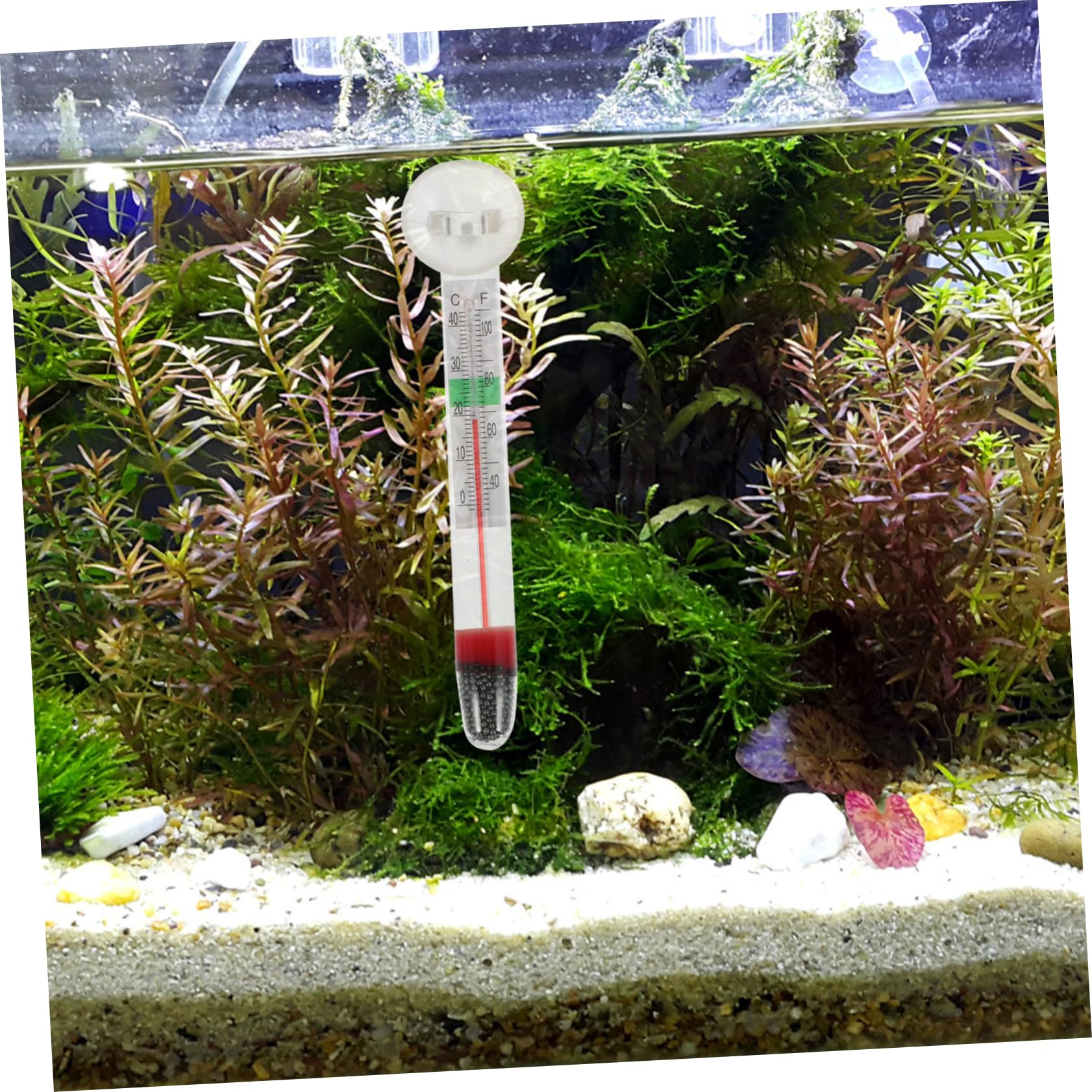 ifundom 2 Set Termometro Per Acquari Accessori Temperatura Profondo Termometri Digitali Termometro Per Vasca Acquario Termometro Del Serbatoio Del Pesce Bicchiere 10 Pezzi*2