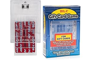 BILZ Brain Teasing Puzzle: Money Holder That Tests Your Wits!