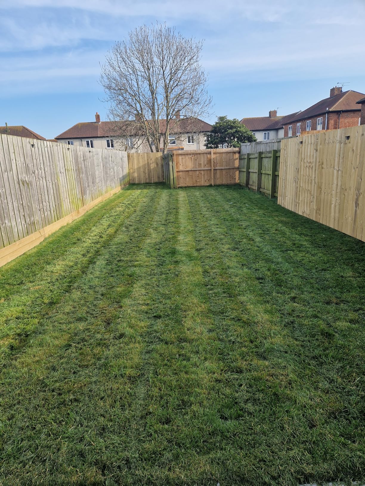 Customer photo