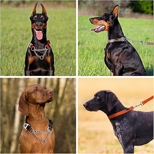 Miniatura 7 de Plutus Pet Martingale - Collar para perro con cadena de acero inoxidable y nailon reflectante, collar de entrenamiento ajustable sin tirones, para