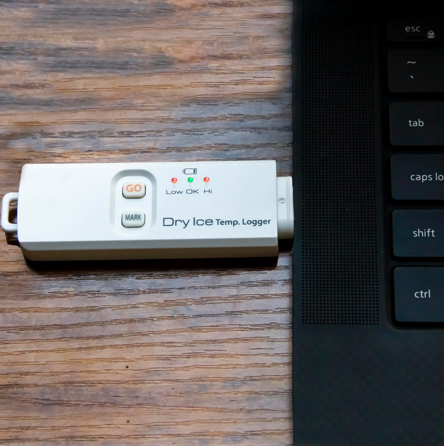 Triplett TMDL20 Single-Use USB Dry Ice Temperature Datalogger (-112°F/-80°C)