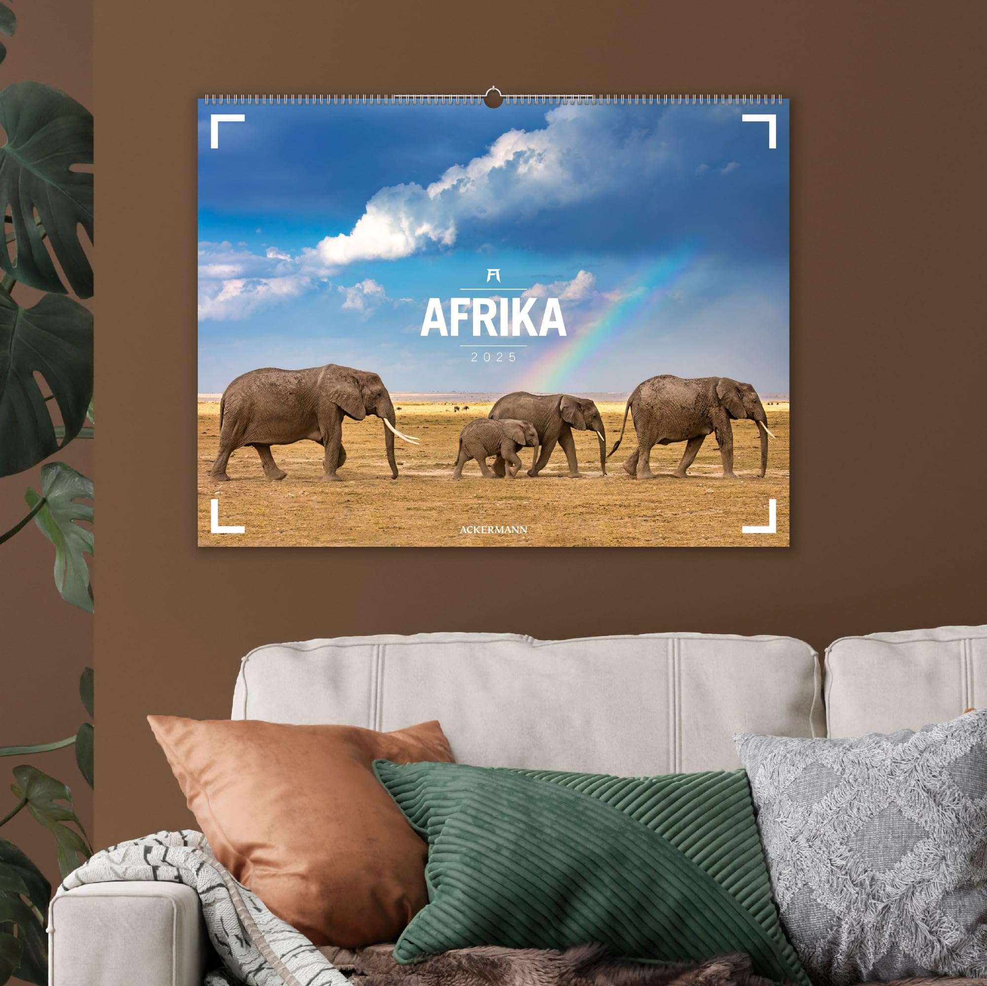 Afrika - Ackermann Gallery Kalender 2025, Wandkalender im Querformat (66x50 cm) - Großformat-Kalender / Hochwertiger Panorama-Kalender Tiere und Natur