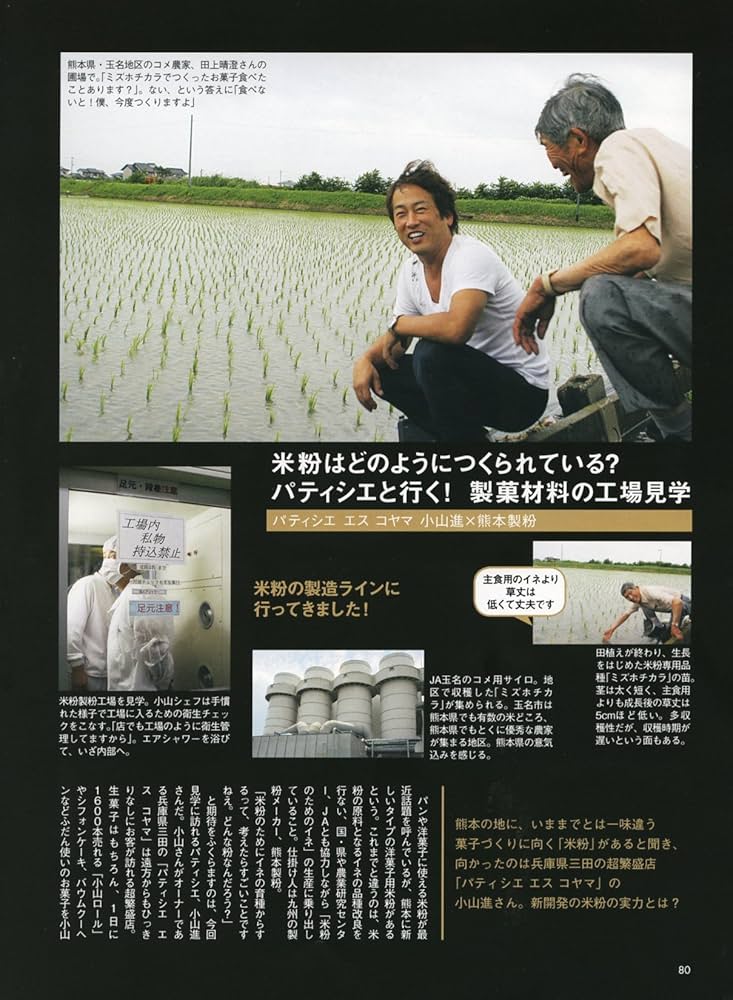 プロのための洋菓子材料図鑑 vol.2 Amazon.co.jp: プロのための洋菓子材料図鑑 vol.2 (柴田書店MOOK