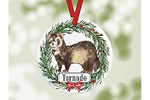 Personalized Ornament Captures Ferret's Uniqueness