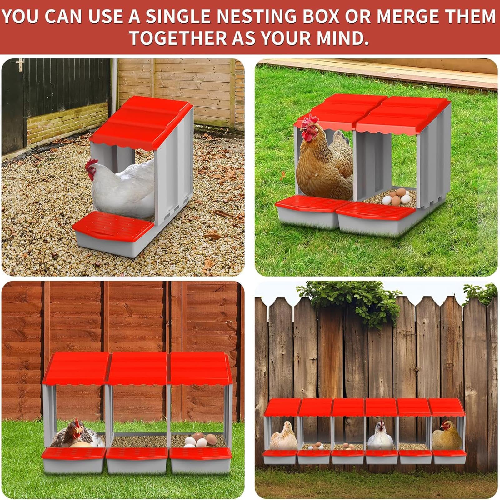 Nidal Robusto Y Fácil de Limpiar para Gallinas Y, Rojo, L