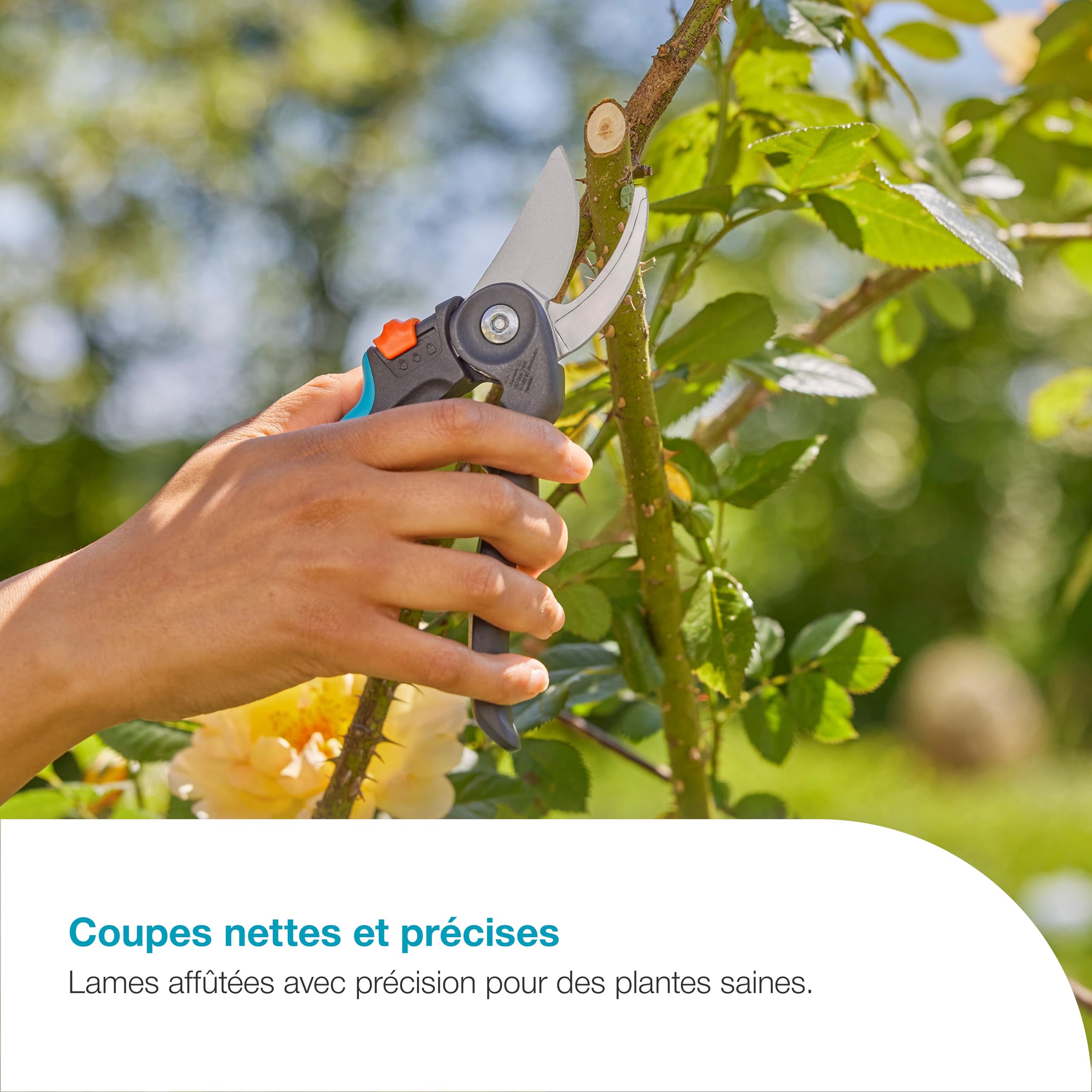 Gardena Cisaille de jardin PremiumCut Flex: coupe en dérivation, pour bois frais, diamètre de coupe 24 mm, poignées ergonomiques, lames PowerCoating, fabriquée en Allemagne (12242-20)