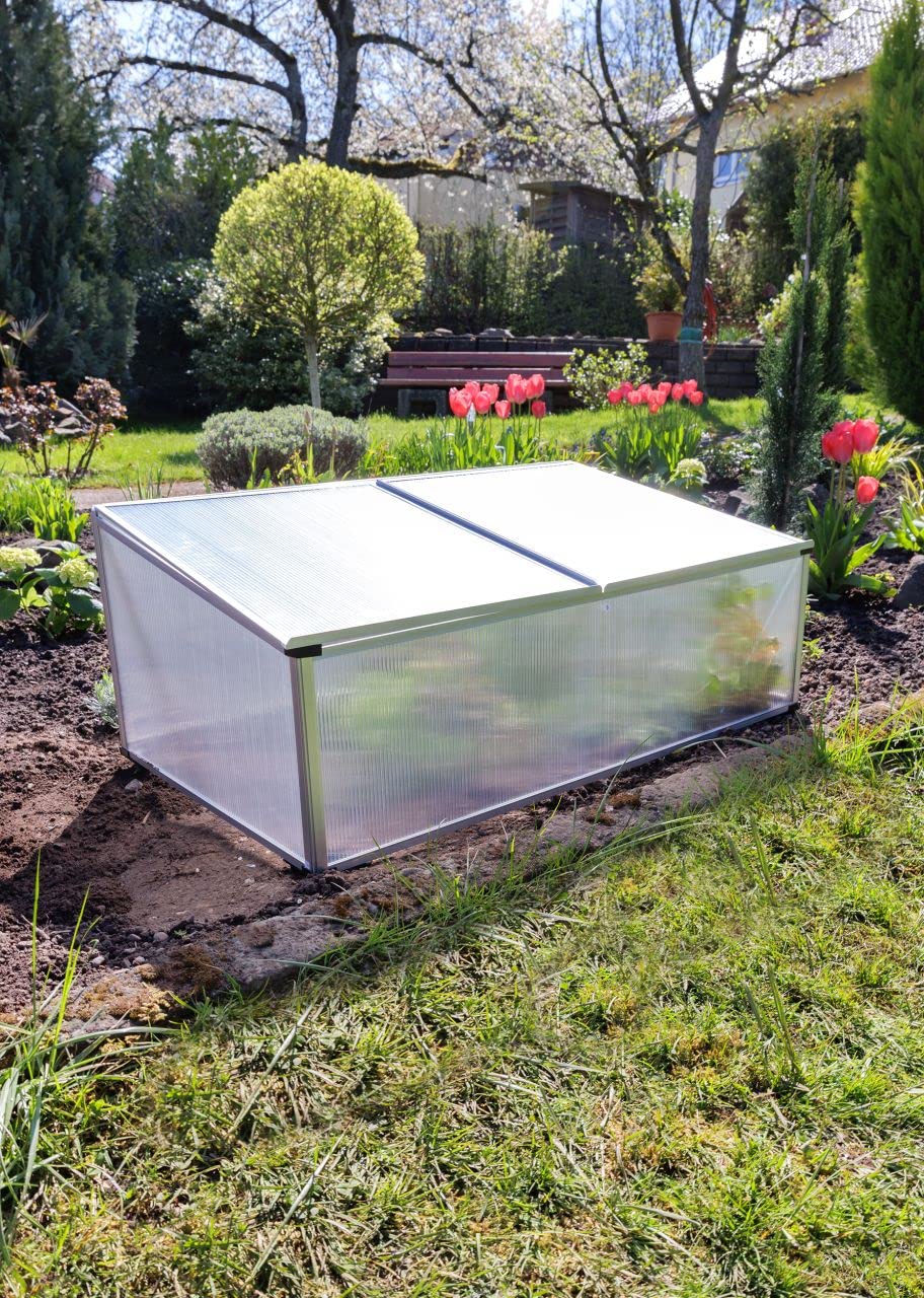 TrendLine Alu Frühbeet 100 x 60 x 30 cm Gewächshaus Tomatenhaus Treibhaus