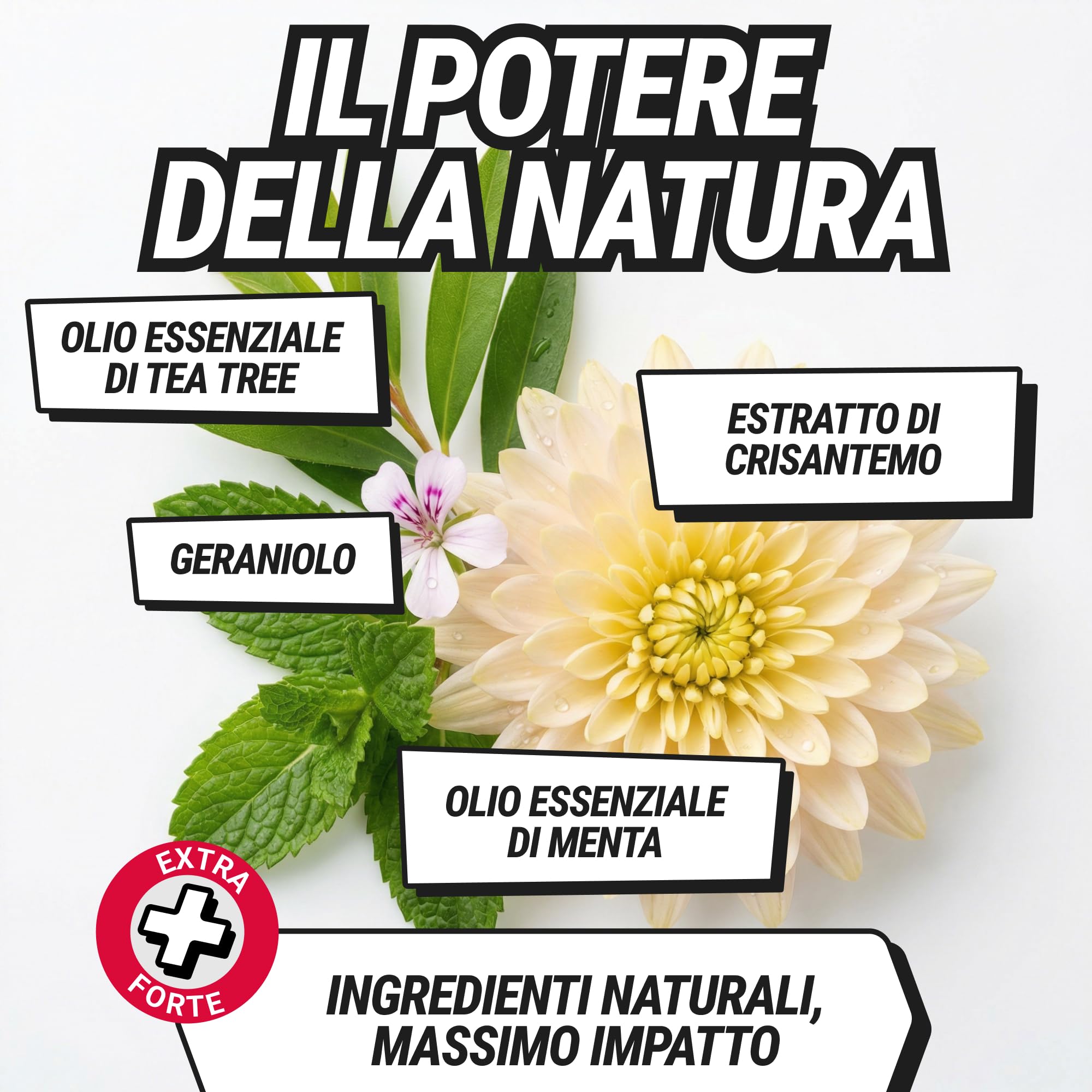 RepellSheild Repellente Mosche Spray per Ambienti – Soluzione Anti Mosche per Casa e Spazi Esterni – Formula a Base Naturale, Senza Odori Chimici – Ideale per Cucina, Terrazze e Zone Living, 500ml