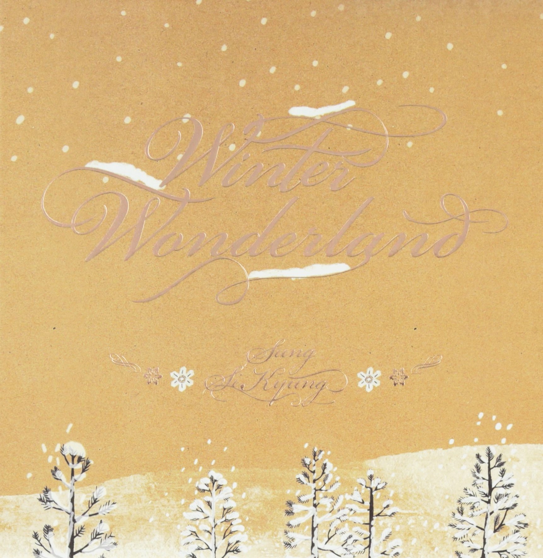 Amazon.co.jp: Winter Wonderland(韓国盤): ミュージック