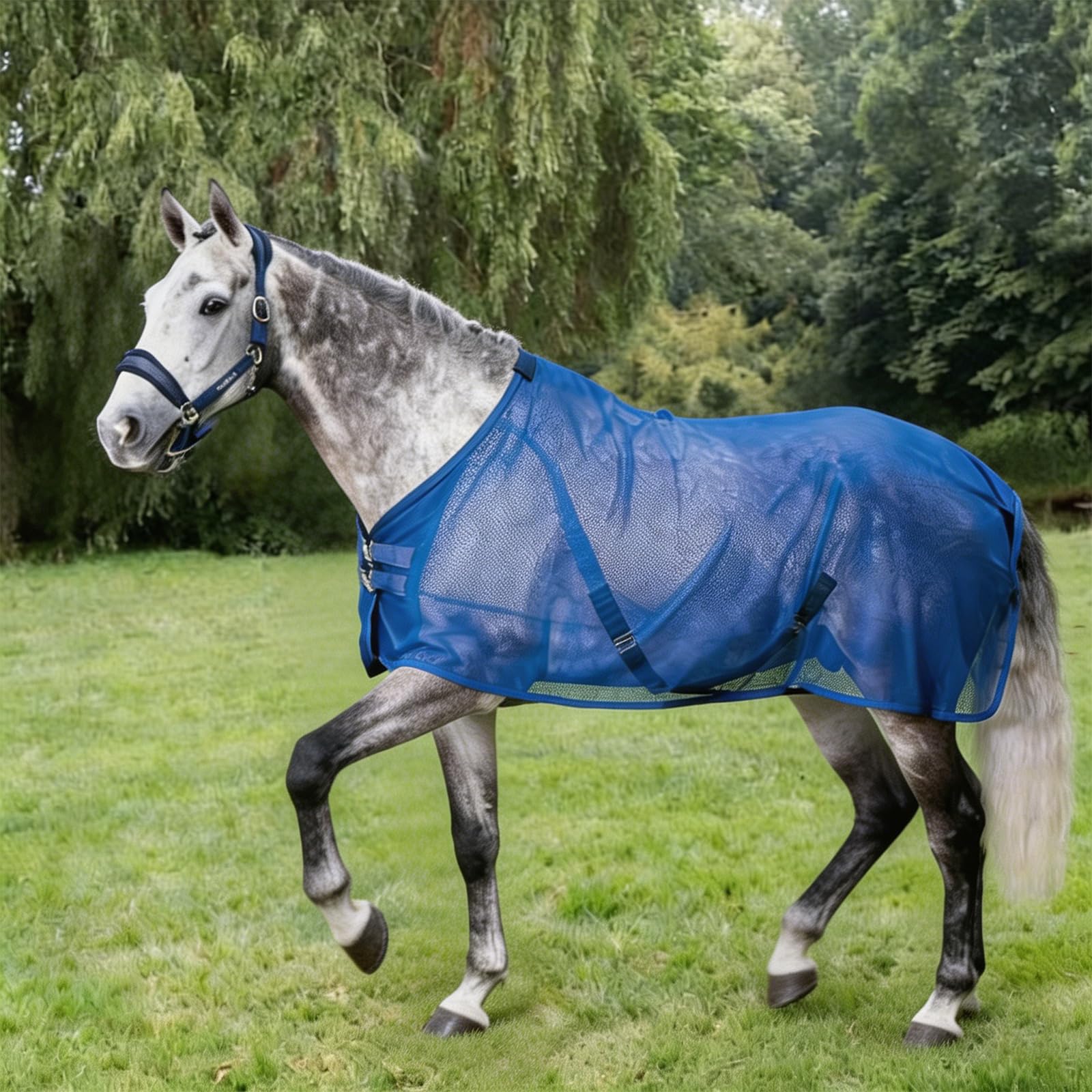 Cubierta protectora para caballos de peso, malla transpirable, con hebillas, protección equina