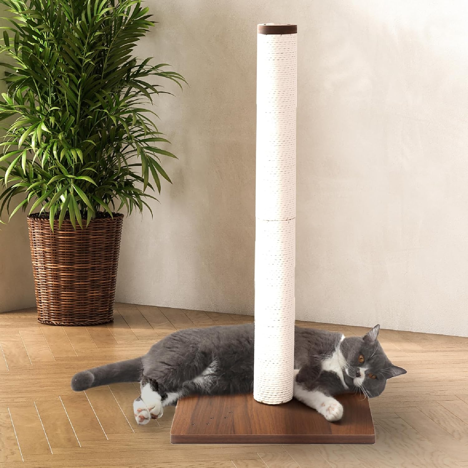 Necoichi 31.5” Tall Cat Scratching Post Kitten Scratcher Paper Rope Scratch Posts Trees with Hanging for Indoor Cats (31.5 inches for Adult Cats, Large, Dark Cherry)