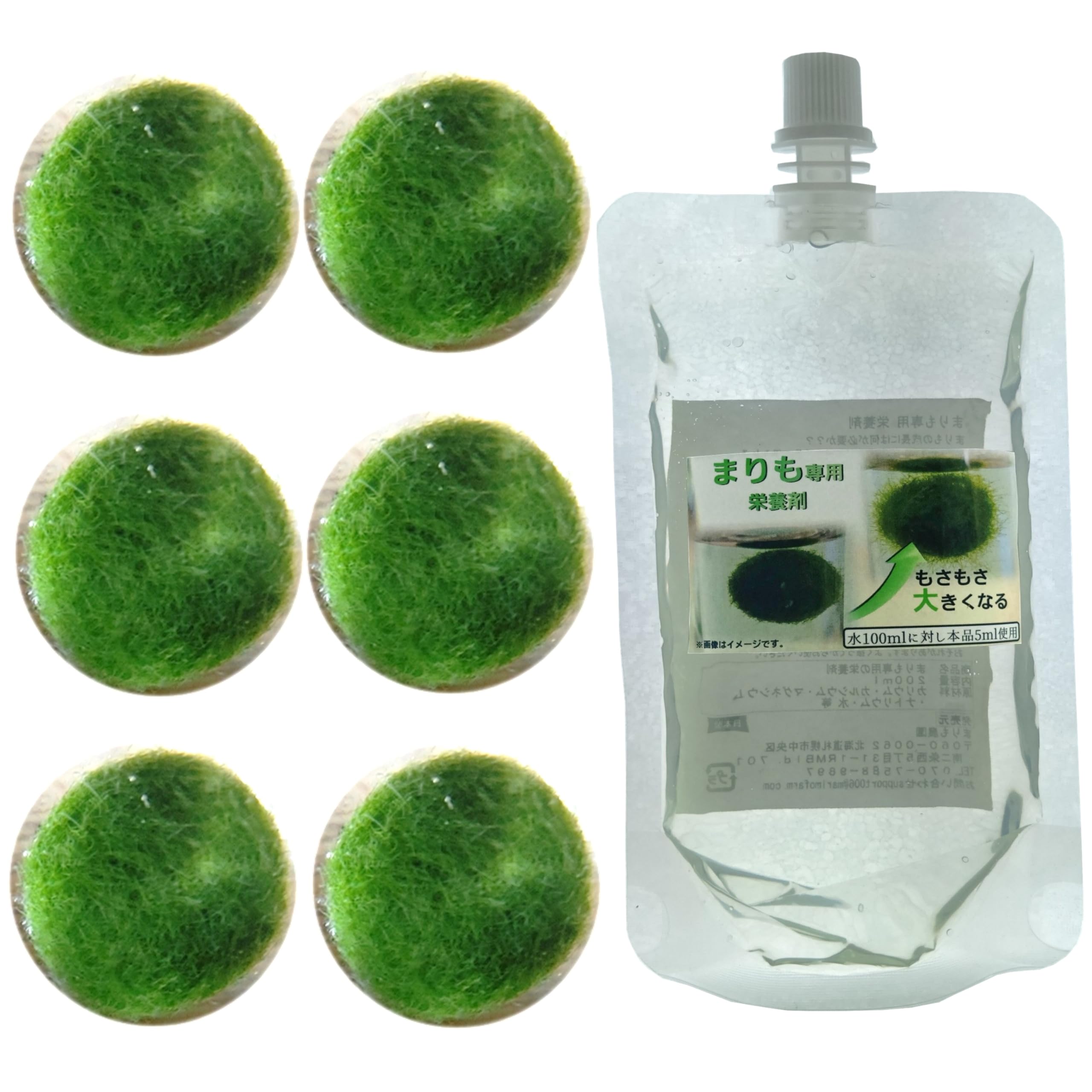 Amazon.co.jp: まりも 1cm 6個 まりも栄養剤付き 育成セット : DIY Amazon.co.jp: まりも 1cm 6個 まりも栄養剤付き 育成セット : DIY