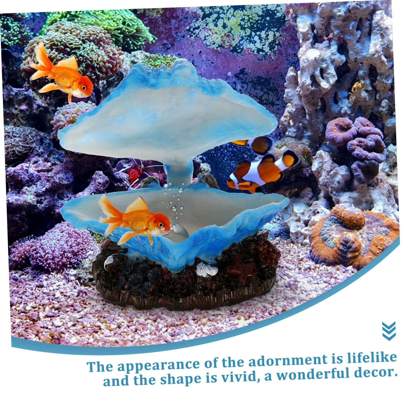 BESPORTBLE 5 Stück Aquarium Muschel Meerwassertank Dekoration Betta Aquarium Versteck Blasenherstellung Muschel Landschaftsbau Dekoration Dekoration