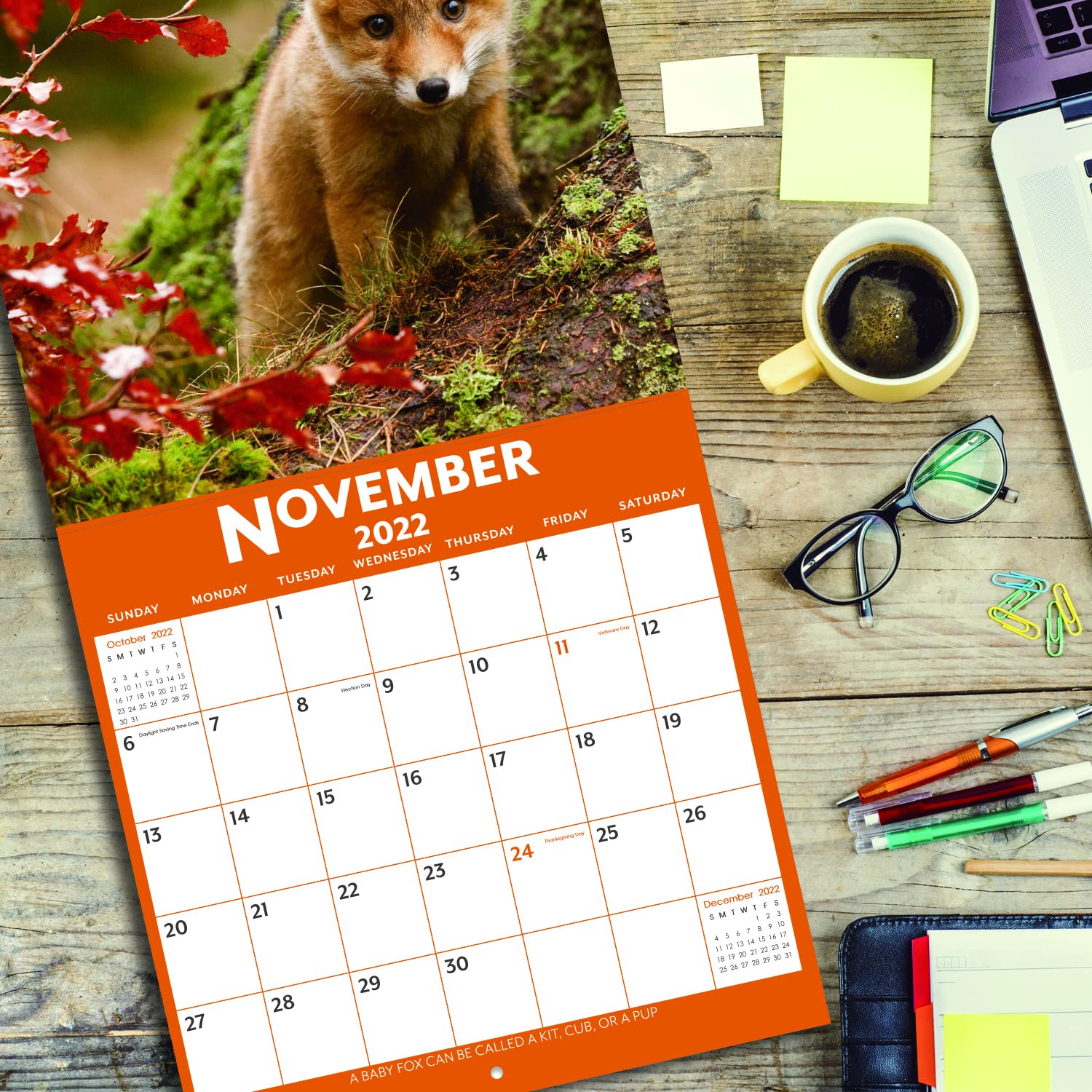 2022 Calendar Baby Animals Wall Calendar 2022 from Jan 2022 Dec 2022, 12 x 12 inches, Thick