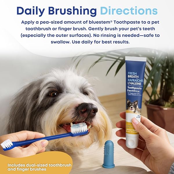 bluestem Cat and Dog Toothpaste β Scientifically Formulated Coactiv+ Pet Toothpaste Helps Reduce Plaque & Tartar, Freshens Breath, and Promotes Daily Dog and Cat Oral Care β Chicken Flavor (70g) Chicken Oral Kit - 5