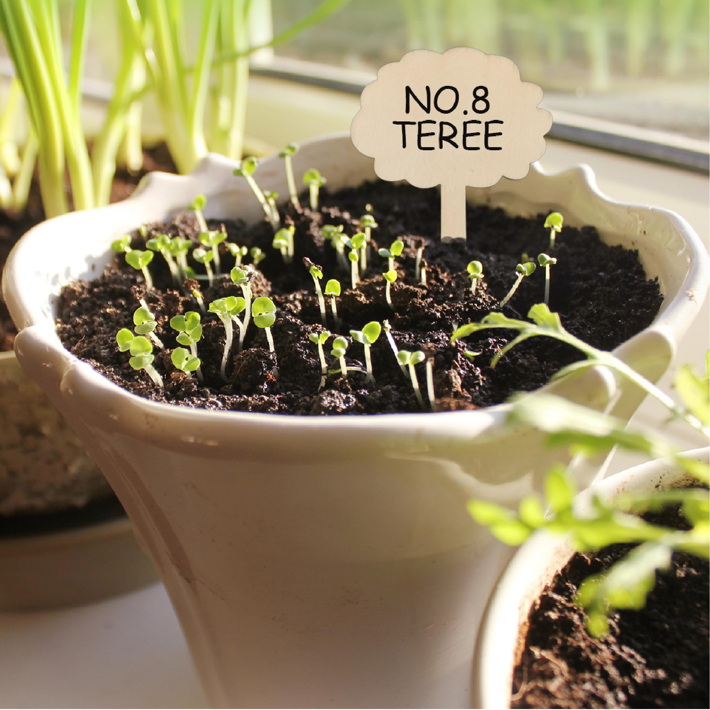 1000 Etichette Per Piante In PVC 10x2cm - Targhette Bianche Impermeabili Per Giardino E Orto - Foto 2