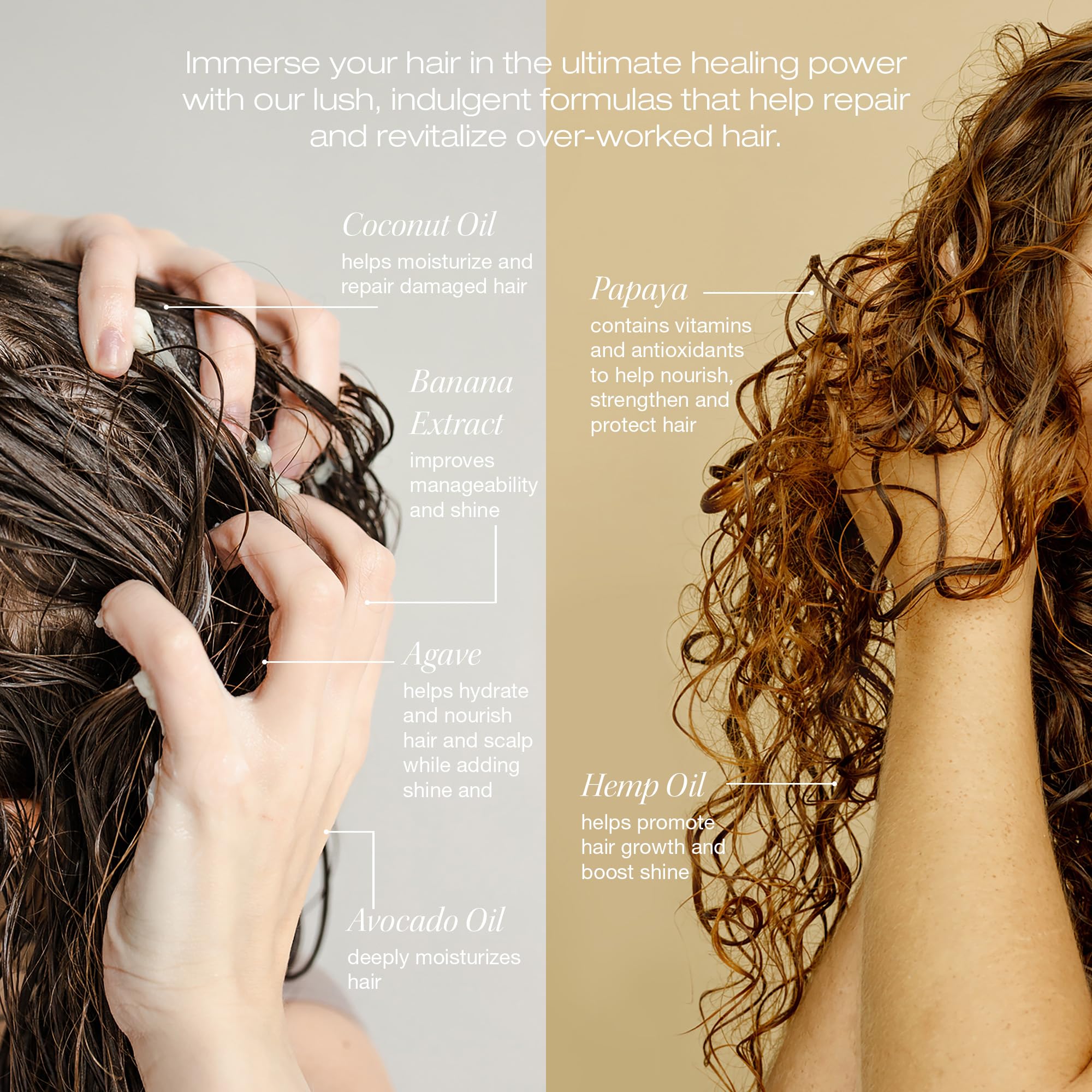 RAW SUGAR Maschera Per Capelli, Duo Di Maschere Riparative, 355 Ml (2 Prodotti). Nutre, Rivitalizza E Ammorbidisce I Capelli Secchi E Danneggiati. Un kit completo per la cura dei capelli.