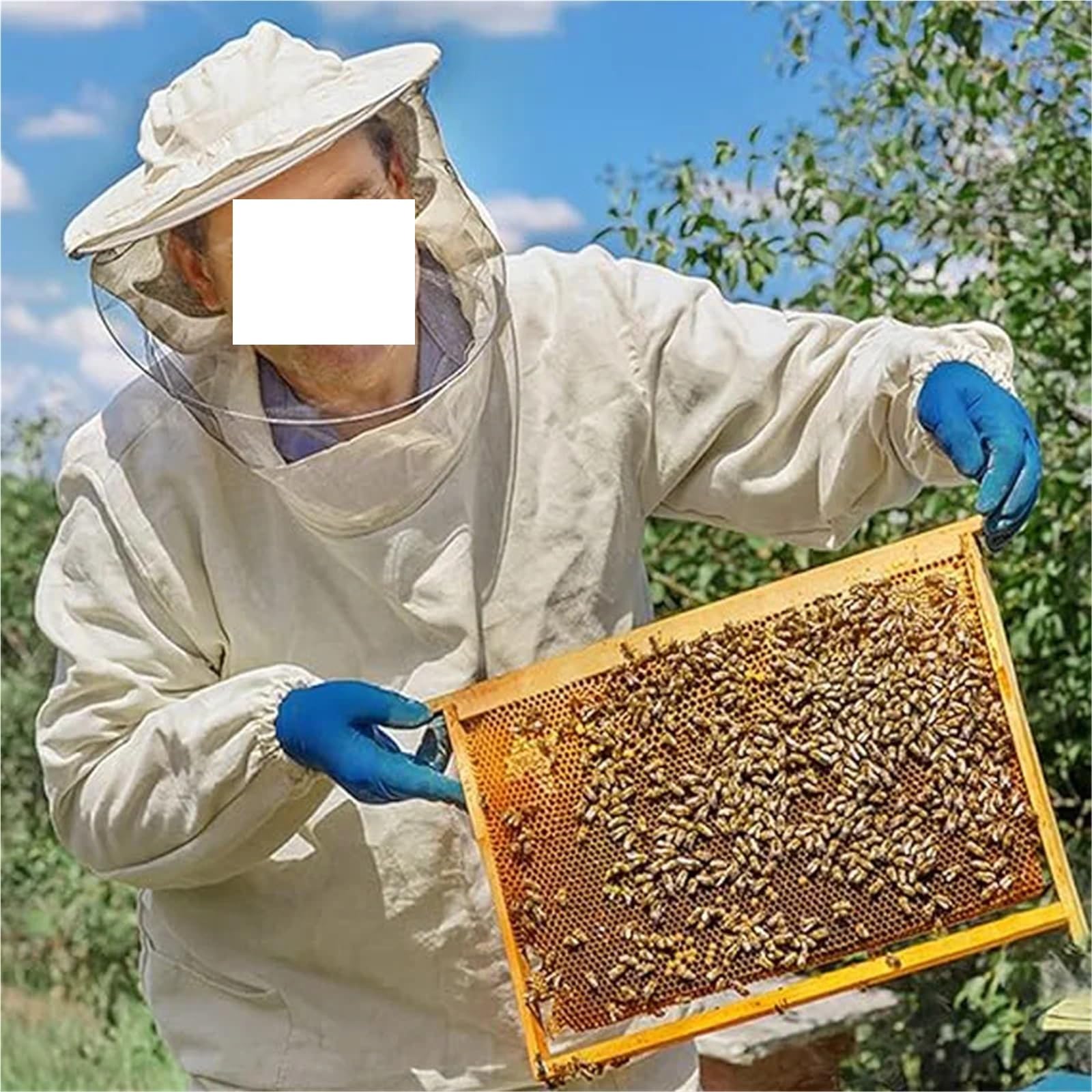 30 de cera de panal, láminas base for colmena, base de apicultura, equipo for colmena, suministros for abejas, nido de cera de abejas