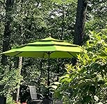 Review Image by Jan D Jan D