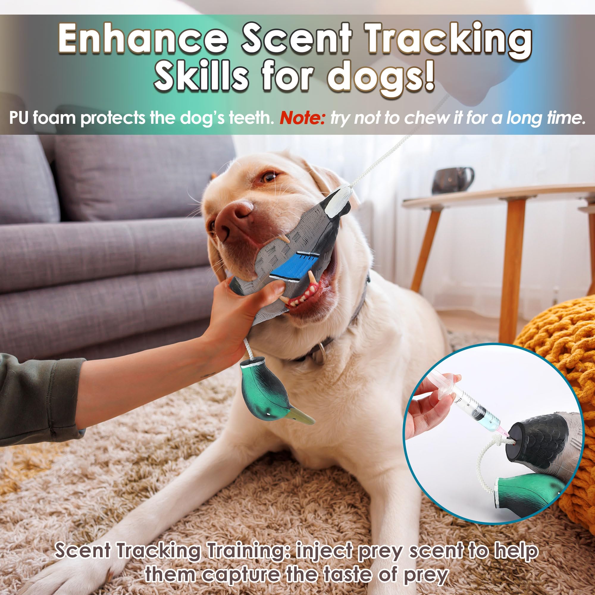 Teacher's Pet Vinyl Hunting Dog Training Bumper Launcher Regular