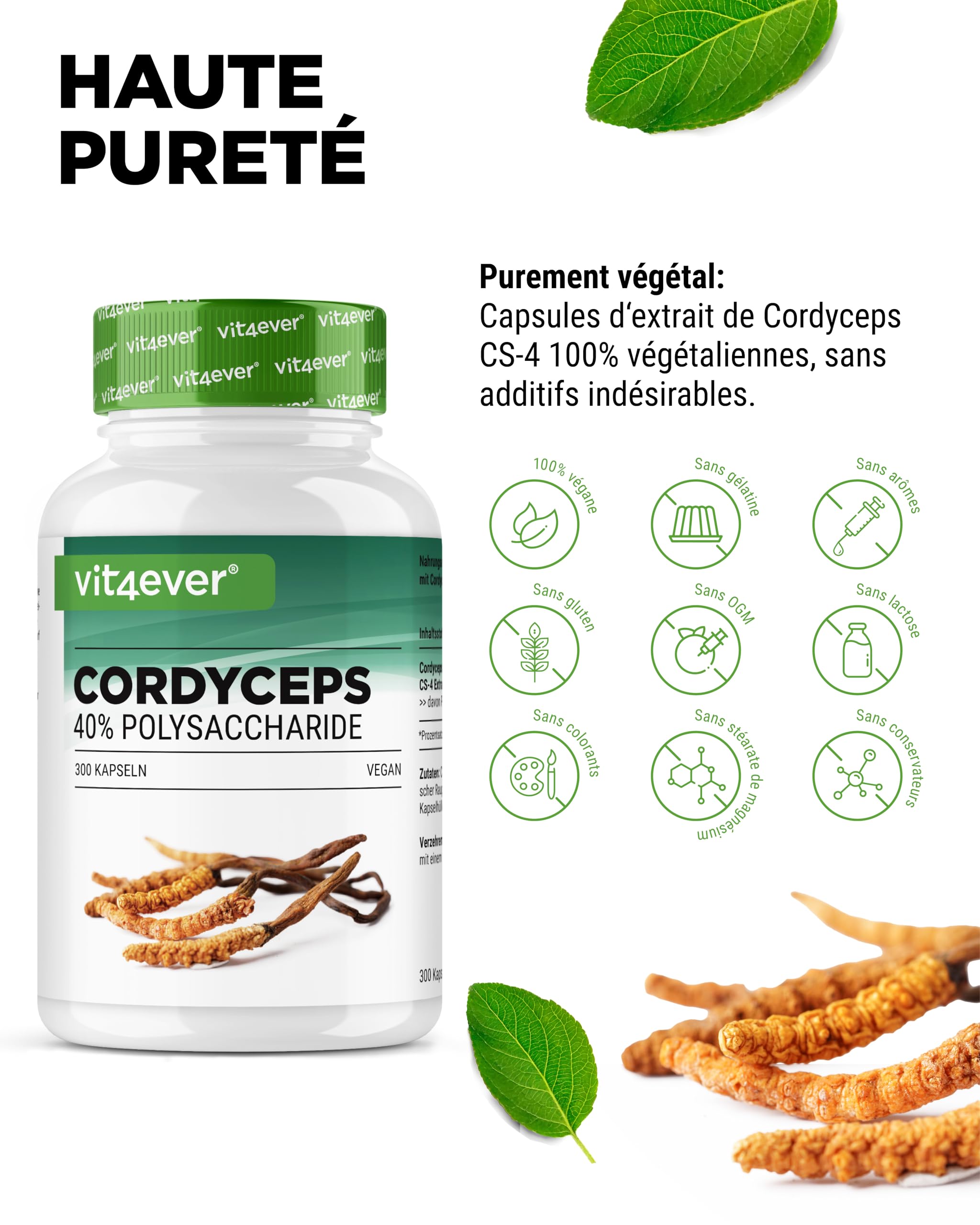 Champignon Cordyceps - 300 capsules avec 650 mg de Véritable Extrait de CS-4-40% de Polysaccharides Bioactifs - Haute Dose - Champignon Chenille - Vegan