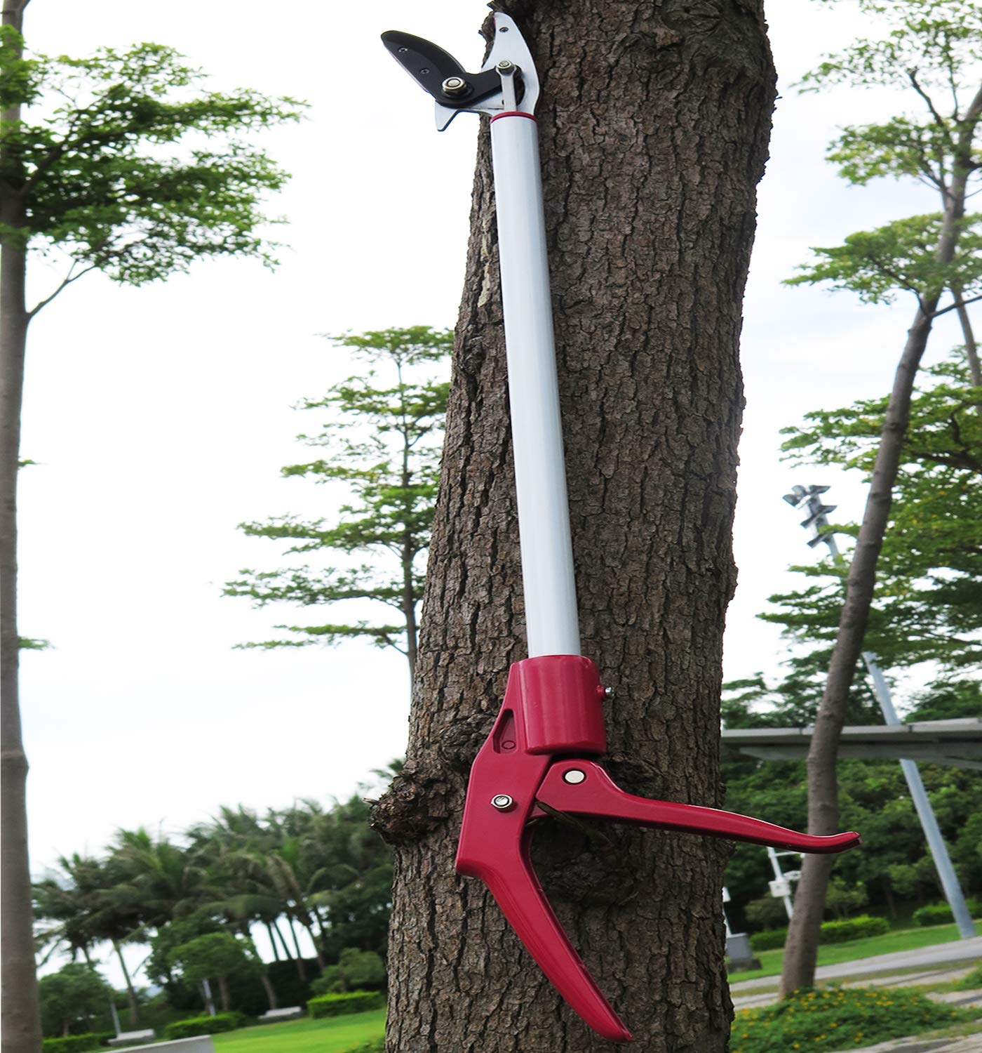Podadora de árboles de corte y sujeción de 2 pies, podadora de árboles de poste de rotación, recolector de frutas de corto alcance, podadora de derivación de ramas