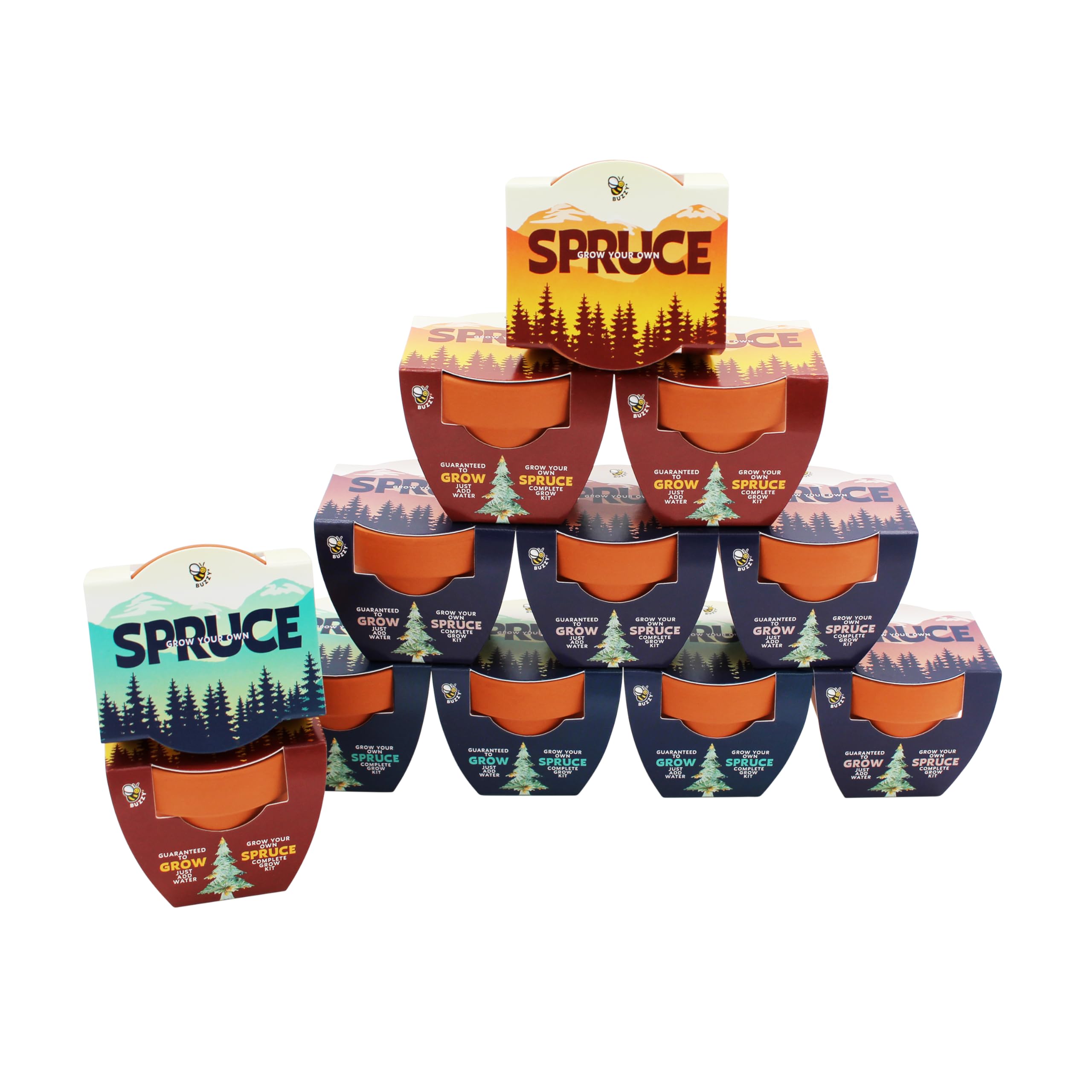 BUZZY Seeds Spruce Tree Grow Kit