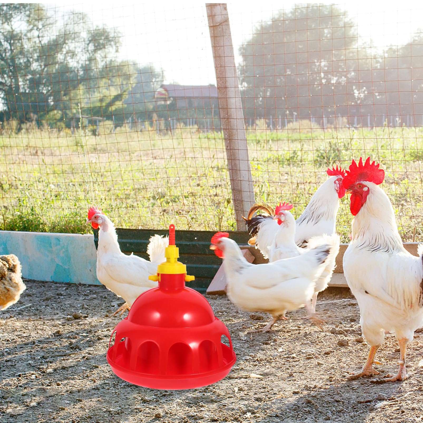 Abbeveratoio Automatico per Pollame in Pp Rosso, 1 Pezzo | Dosaggio Automatico Dell’acqua, Sicuro e Facile da Usare, per Fattoria e Negozio, Adatto a Pet e Colombi