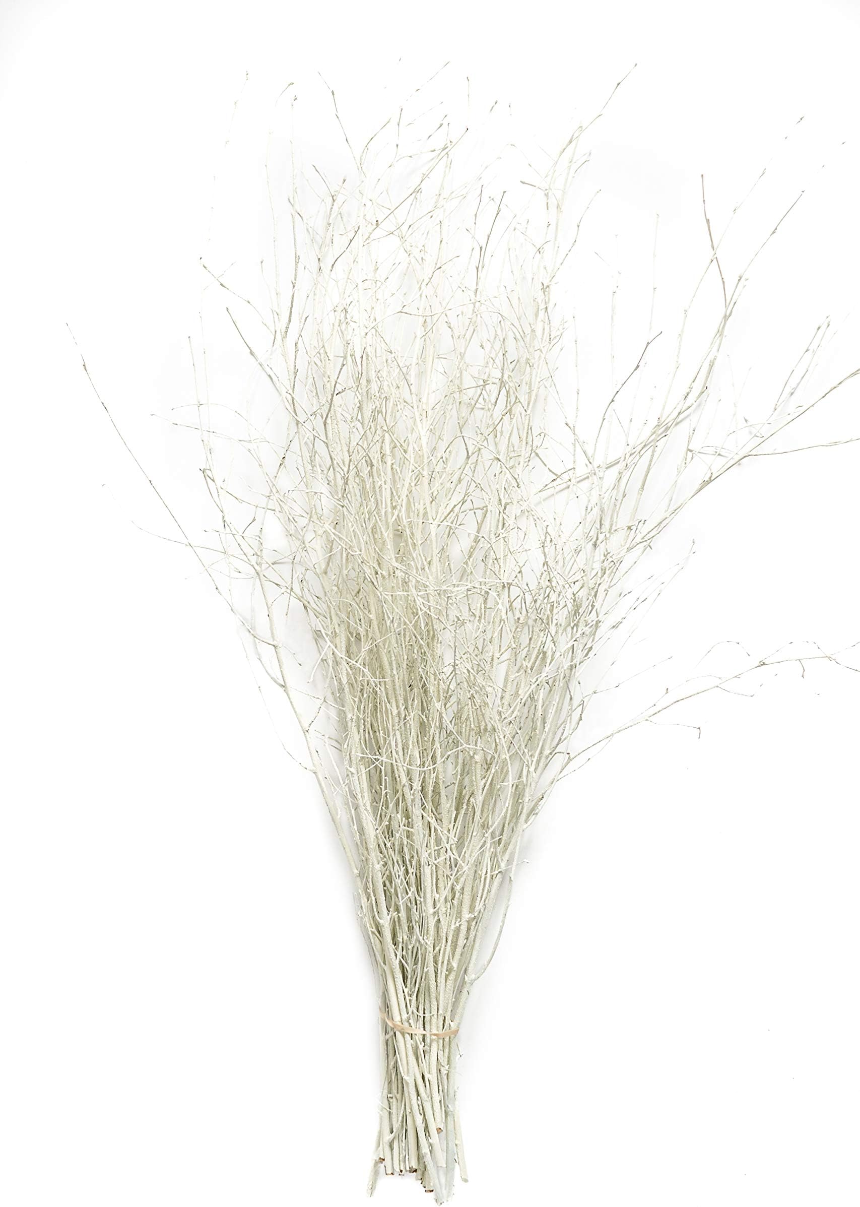 Decorative Coloured Birch Twigs and branches - Cream - 90cm's - 25 Stems