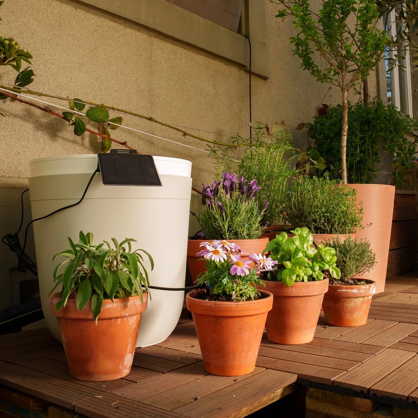 BOUM DRIP Starterpaket mit TANK – Smarte automatische Tröpfchenbewässerung für Balkon, Terrasse & Garten | Solarbetrieben | Wetteradaptive Pflanzenbewässerung | Für bis zu 20 Töpfe & Balkonkästen