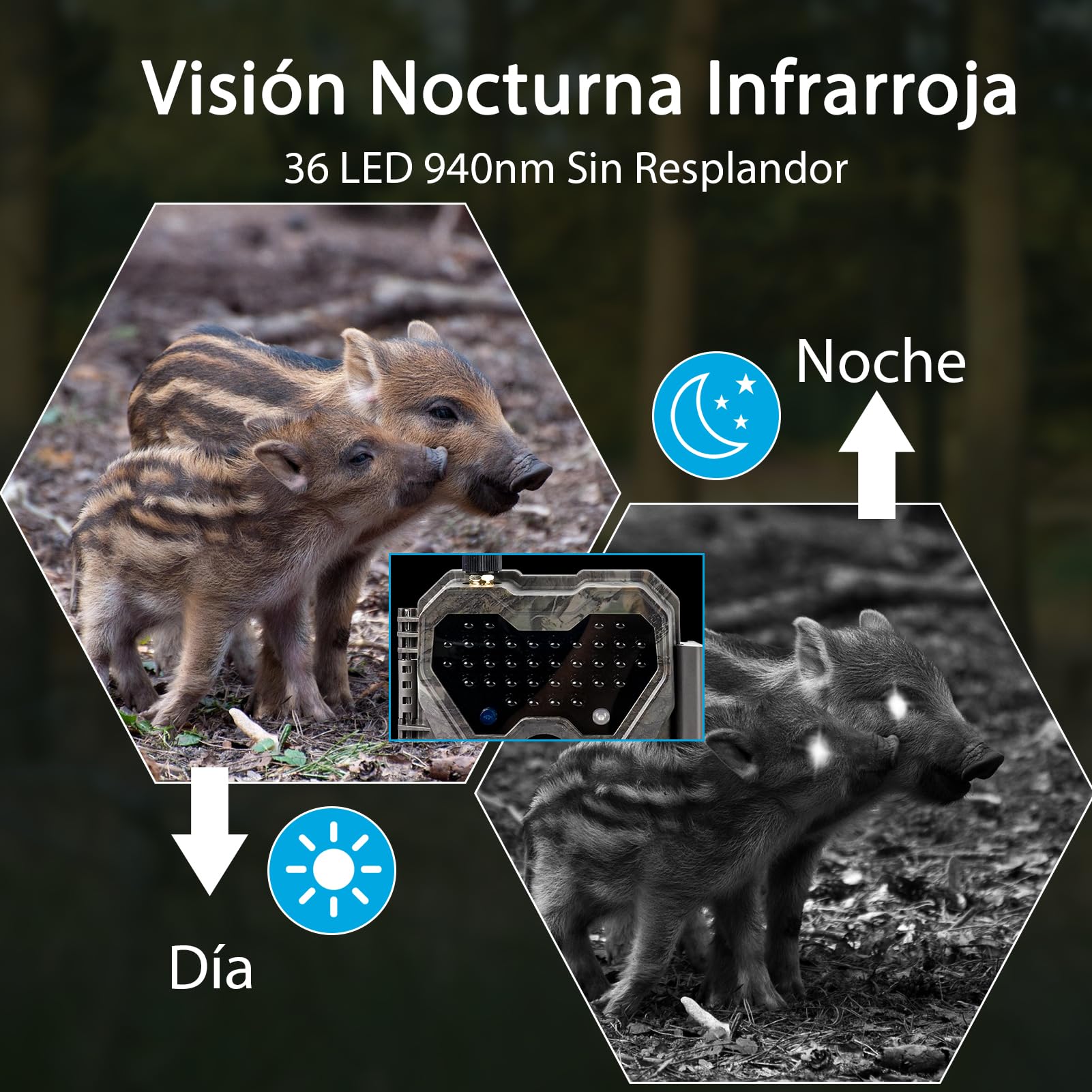 Meidase P300 Cámara de Caza, WiFi Bluetooth 50m Alcance de Conexión, Doble Antena, 64mp 1296p, Visión Nocturna, Activación Movimiento, Ip66 Impermeable, Transferencia App, Monitoreo Exterior