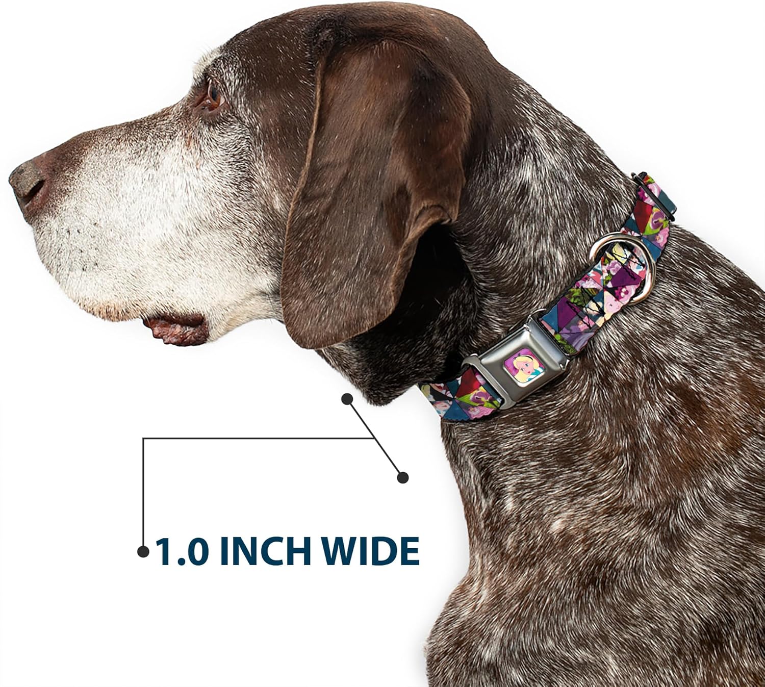 Dog Collar Seatbelt Buckle Olaf Summertime Beach Scenes 11 to 17 Inches 1.0 Inch Wide