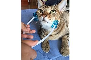 2-Pack Cat Face Massager Rollers