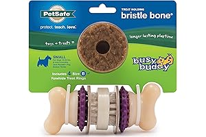 PetSafe Busy Buddy Bristle Bone: Durable Interactive Toothbrush Toy for Dogs