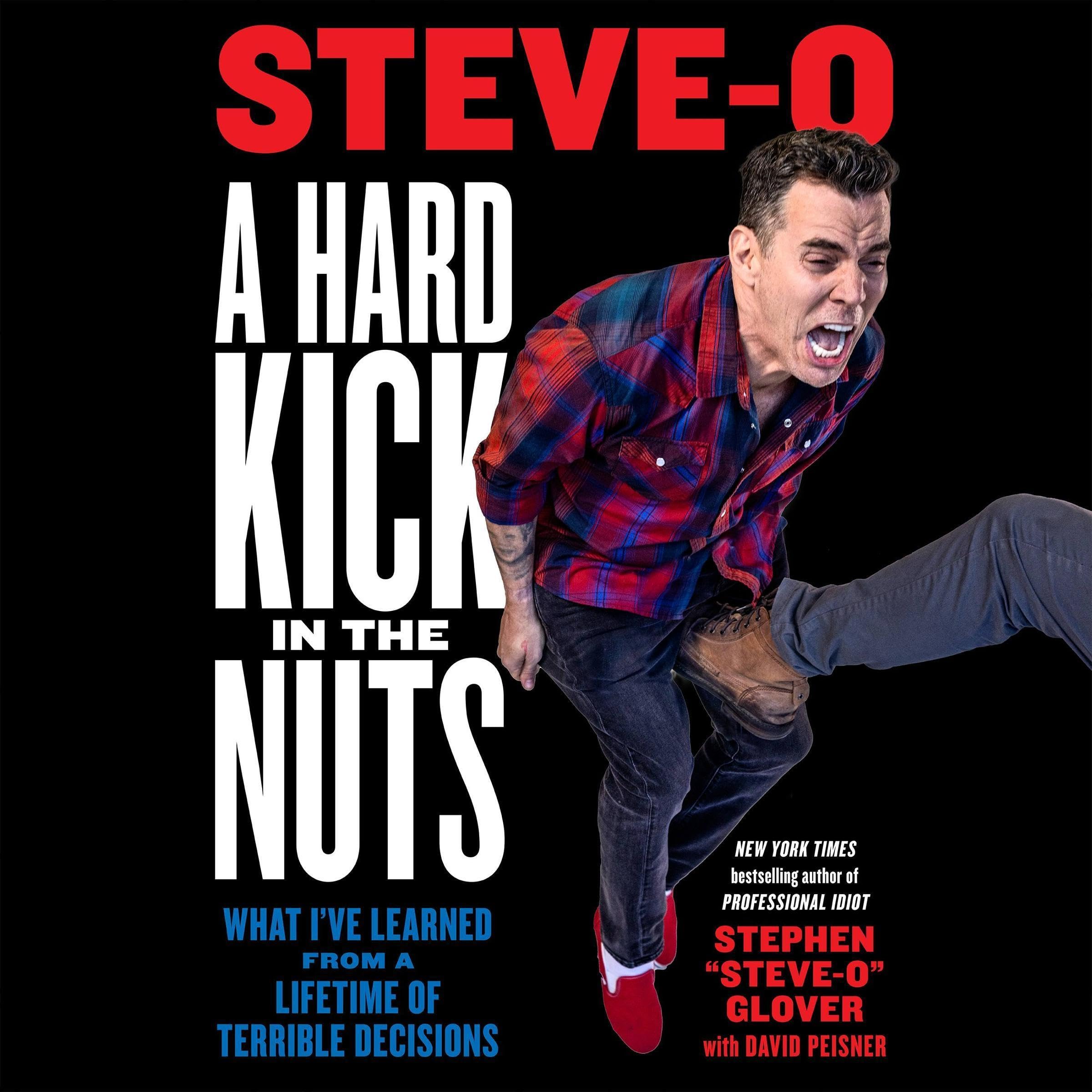 Cover art for A Hard Kick in the Nuts