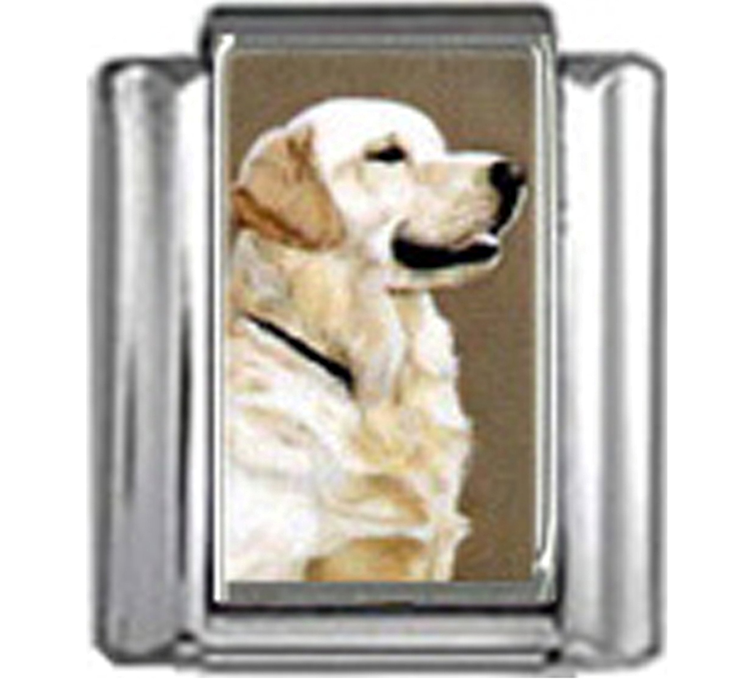 Stylysh Charms Golden Retriever Dog Photo Italian 9mm Link DG218 Fits Tradi