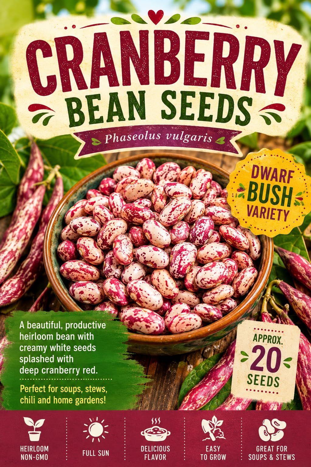 Cranberry Bean Seeds – Borlotti Type Bean Variety for Growing | Speckled Heirloom Bush Beans | Productive Plants
