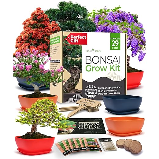 Bonsai Tree Kit: Unique Christmas Gifts for Men - Bonsai Starter Kit w/ 6 Seed Varieties - Unique Designed Pots - All-in-One Craft Kit for Adults for Gardeners & Plant Lovers