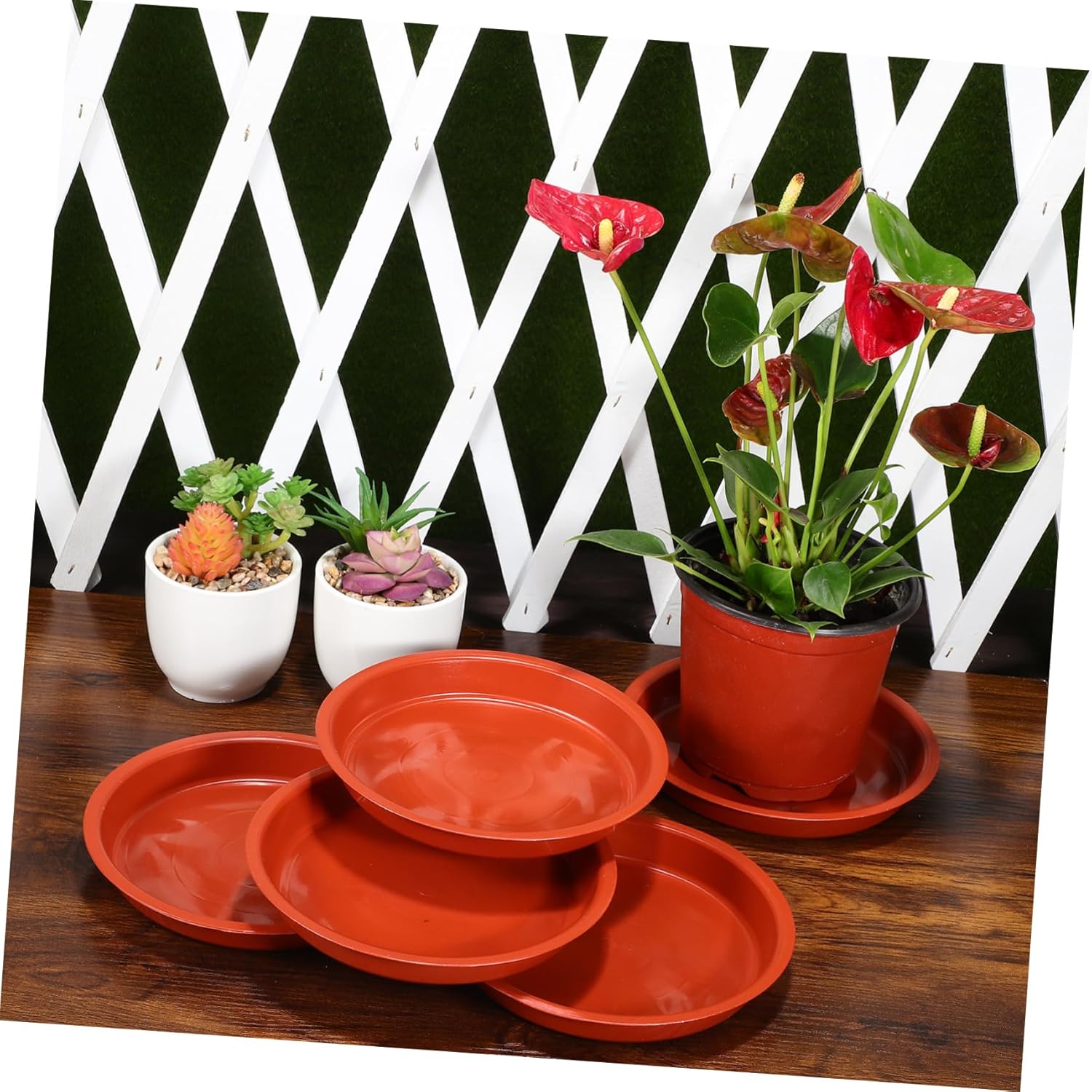 POPETPOP 50pcs Plant Saucers for Plastic Flower Pot Trays Drip Trays for Potted Plants