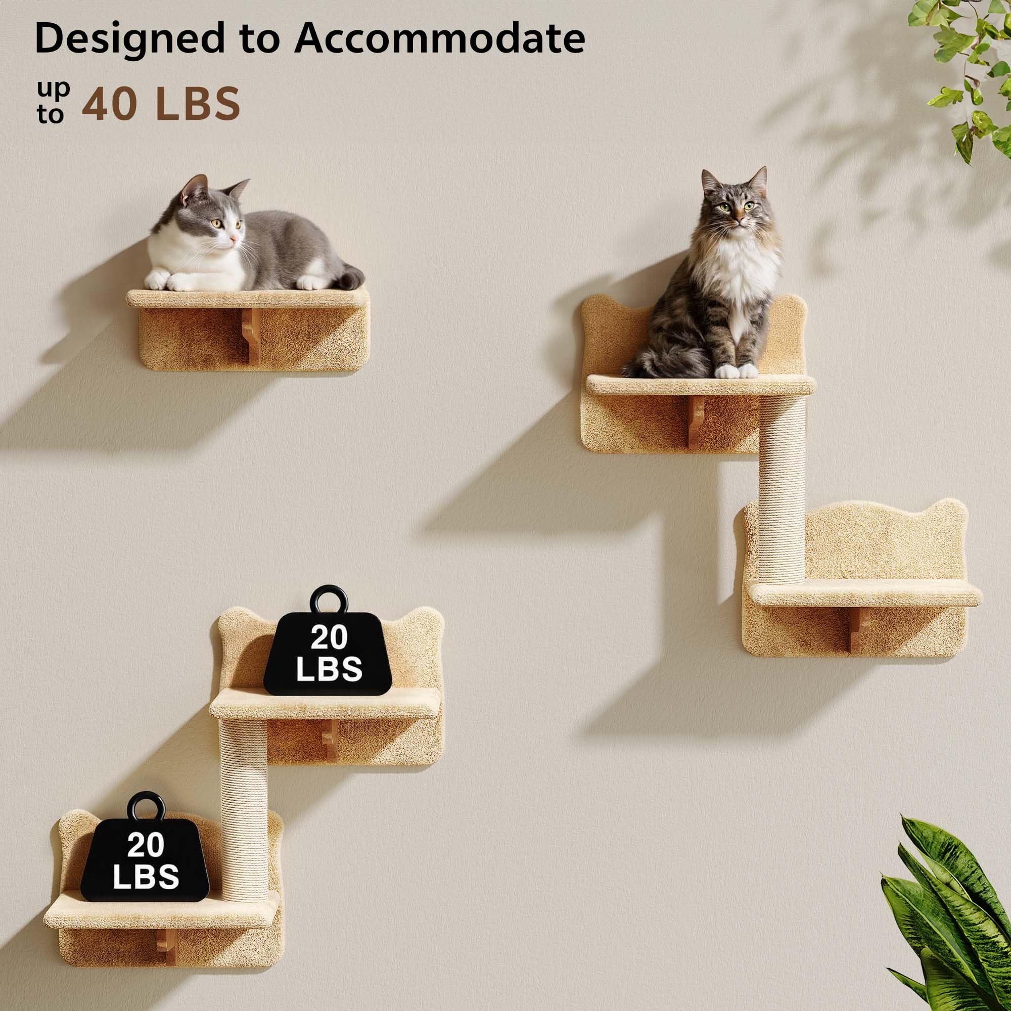 Image showing cats on wall shelves with an icon indicating a 20 lbs weight capacity, implying the system can accommodate up to 40 lbs.
