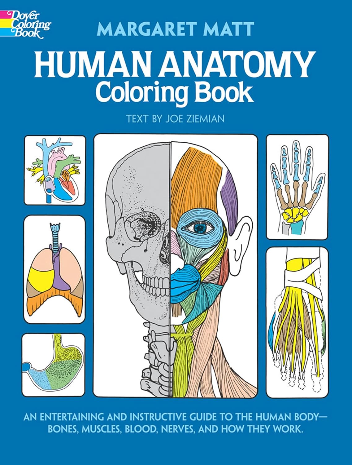 Human Anatomy Coloring Book: an Entertaining and Instructive Guide to the Human Body – Bones, Muscles, Blood, Nerves and How They Work (Coloring Books) (Dover Science For Kids Coloring Books)