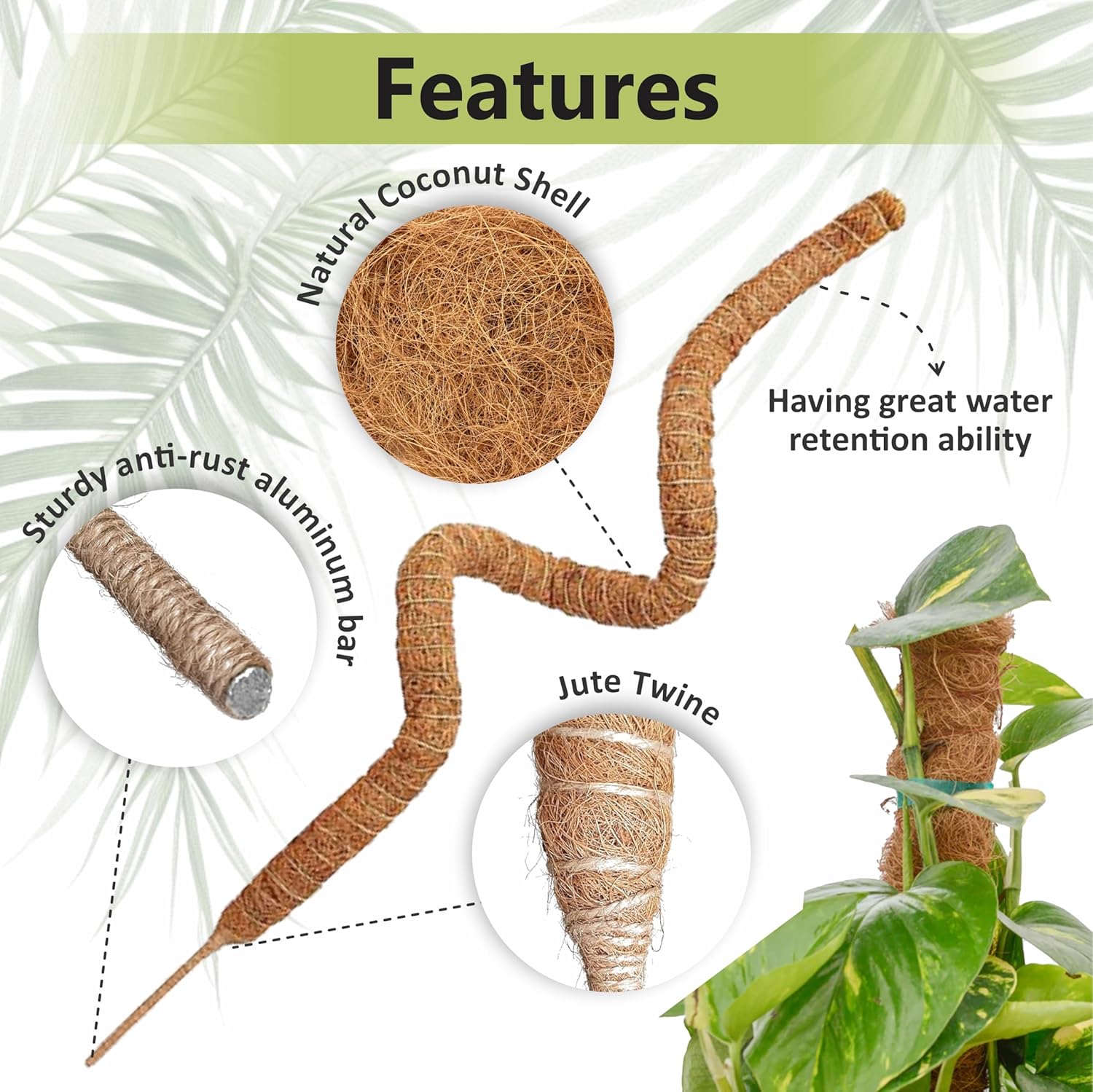 30 Inches Bendable 2 Pack Moss Pole Monstera Plant Support Stakes - Moss Poles for Climbing Plants, Plant Stakes for Indoor Plants - Coco Coir Pole Moss Stick for Monstera, Pothos. thumbnail