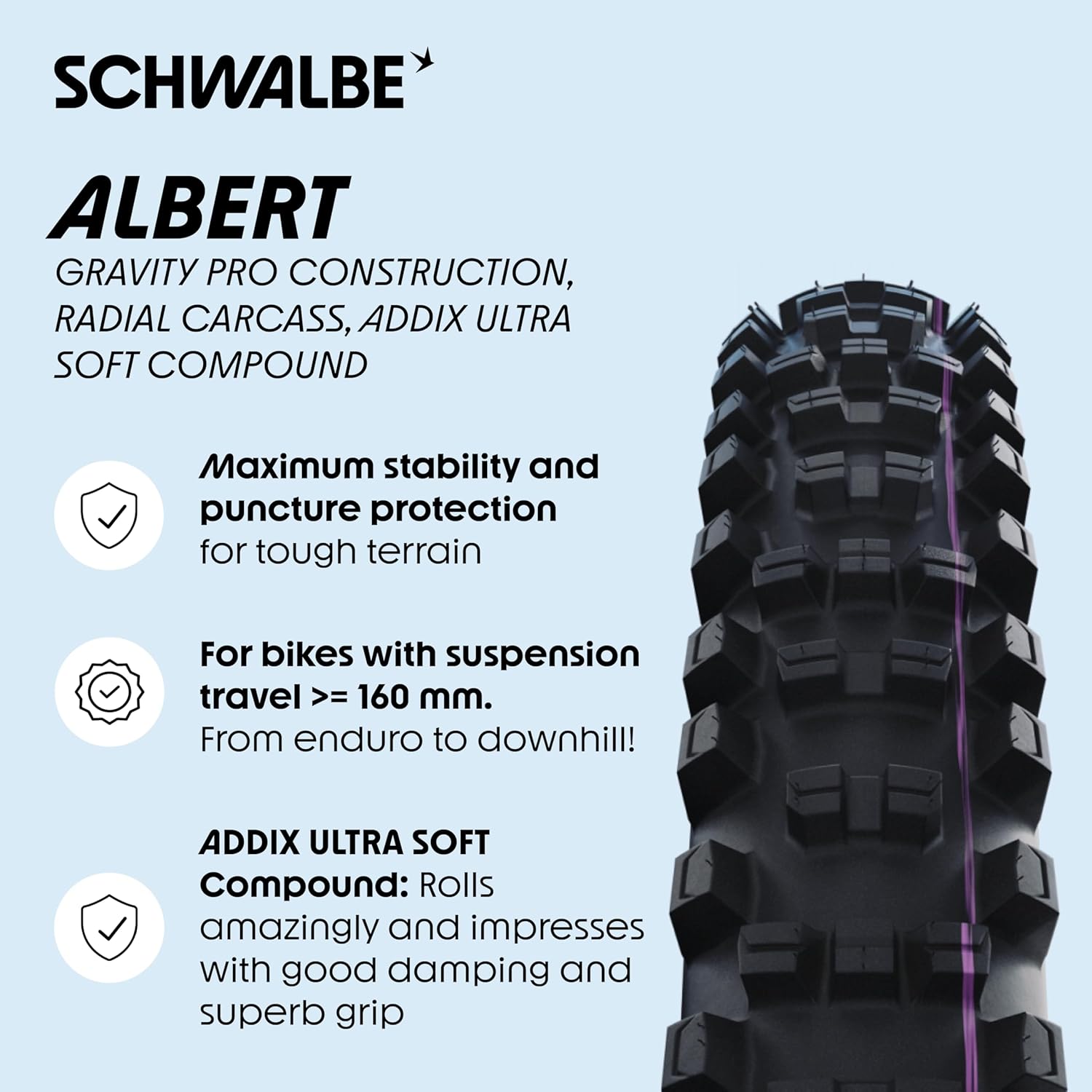 Schwalbe Albert Radial TLR Folding Tyre