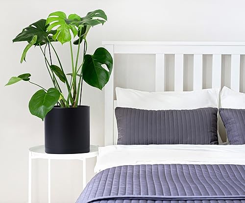 Miniatura 84 de D'vine Dev Paquete de 4 macetas de plástico modernas de 4 pulgadas, pequeñas macetas de jardín para plantas con agujeros de drenaje y platillos