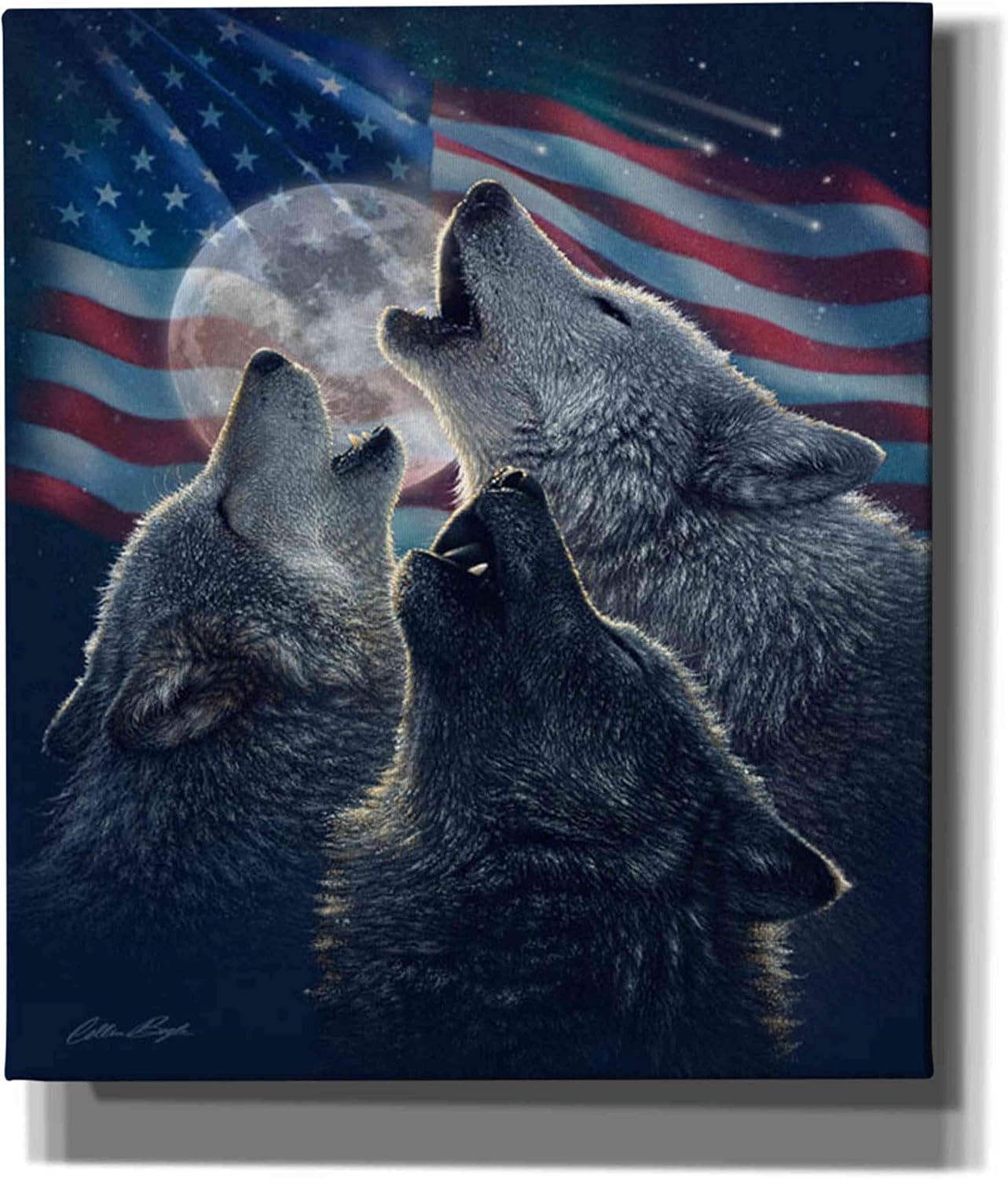 Epic Graffiti 'Wolf Trinity Patriotic' by Collin Bogle, Canvas Wall Art, 12"x16"