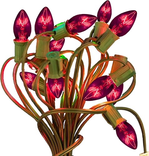 Miniatura 4 de EST. LEE DISPLAY L D 1902 C7 - Luces de Navidad moradas, bombillas transparentes para candelabros, bombillas de repuesto para interiores y