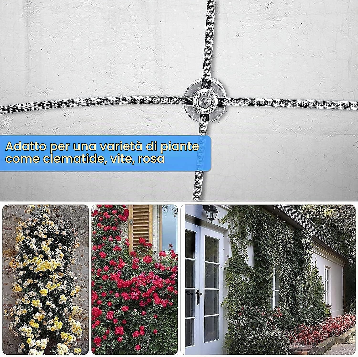 Supporto per Piante rampicanti in Acciaio Inox, Sistema Professionale Set Completo con Supporti a Parete e 3mm Corda in Acciaio (8 Supporti, 12m Corda)