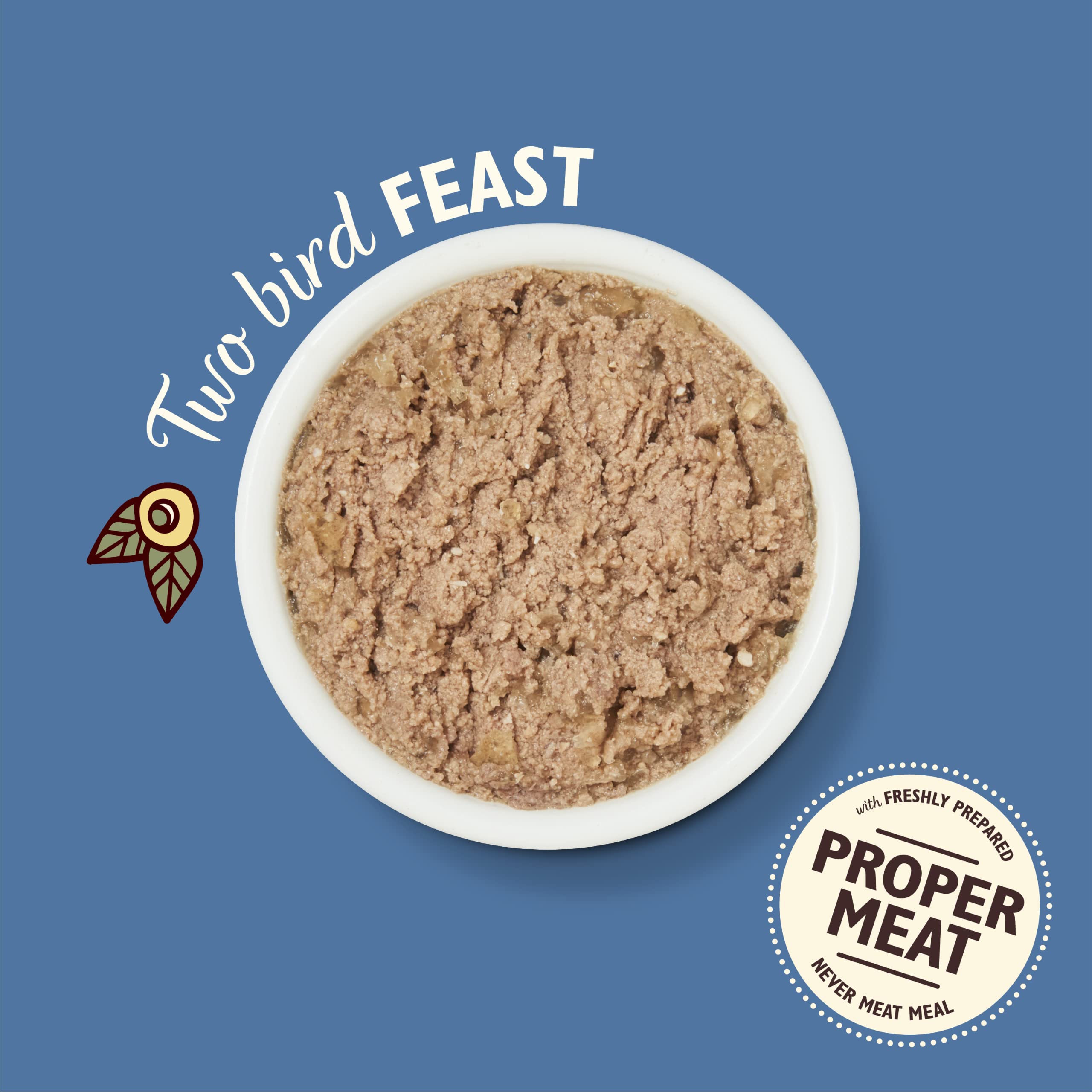 Lily's Kitchen Cibo Umido per Gatti 19er Vaschette (19 x 85g) - Poultry Pie Tacchino e anatra