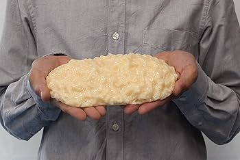 体脂肪模型3kg、2kg、1kg 計4点セット 体脂肪模型3kg、2kg、1kg 計4点セット Amazon.co.jp: 脂肪